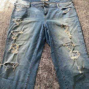 Torrid Jeans